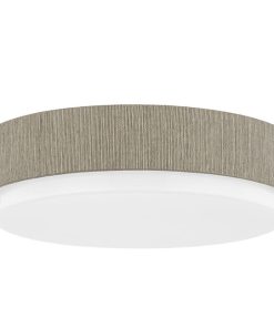 Zane Ceiling Light  By Troy Lighting