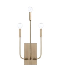 Zander Wall Sconce  By Capital Lighting