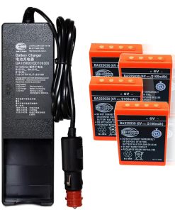 (1 Pack) DC 10V-30V QA109600/ QD109300 Charger with (4 Pack) 6V 2100mAh BA225030 HBC Radiomatic Ni-Mh Rechargeable Battery for HBC Radiomatic BA225030 Battery Charger