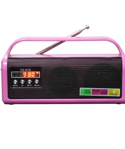 Zhong Portable Multi Band USB SD Card Reader with Microphone Radio