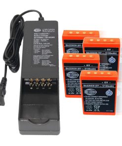 (1 Pack) AC 100V ~ 240V QA109600 QD109300 Battery Charger with (4 Pack) BA225030 HBC Radiomatic Ni-Mh Rechargeable Battery for HBC Radiomatic BA225030 Battery