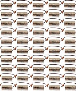 «50 Pack» 2600mAh 3V Non-Rechargeable Lithium Battery Replacement for Fuji fdk cr8-lhc PLC Controller Backup Battery with Brown Plug