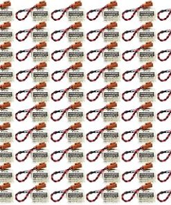 «60 Pack» 3V 1800mAh CR14250SE Non-Rechargeable Lithium Battery Compitable for FDK 1/2AA PLC Battery with Brown Plug