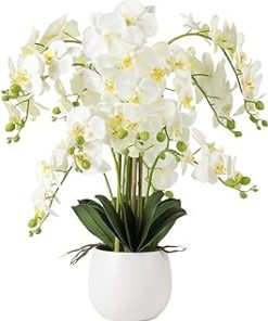 Ziosxin 12 Bunches Artificial Orchids Beige White Orchids Silk Orchids Artificial Orchid Plants in Pots False Flower Arrangements ​Artificial Decor Home Decor Kitchen Decor Dining Tables Centerpieces