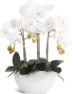 Ziwon Artificial Orchid Flowers Potted in Ceramic Pot, White Faux Phalaenopsis Orchids for Table Centerpiece, Realistic Fake Flower in vase for Home Office Decor Indoor