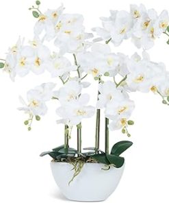 Ziwon Artificial Orchid Flowers & Plants Potted in Ceramic Pot, White Faux Phalaenopsis Orchids for Table Centerpiece, Realistic Fake Flower Arrangement for Home Office Decor Indoor
