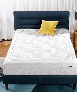 ZINUS 10 Inch Cloud Memory Foam Mattress, Queen, Fiberglass Free, Pressure Relieving, Mattress in A Box, CertiPUR-US Certified, White