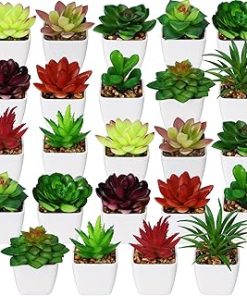 Yunlly 24 Pack Mini Artificial Succulent Plants in Pots Small Potted Faux Succulent Plants Mini Fake Plants in White Pots for Indoor Home Office Desk Window Bathroom Bedroom Decoration (Fresh Style)